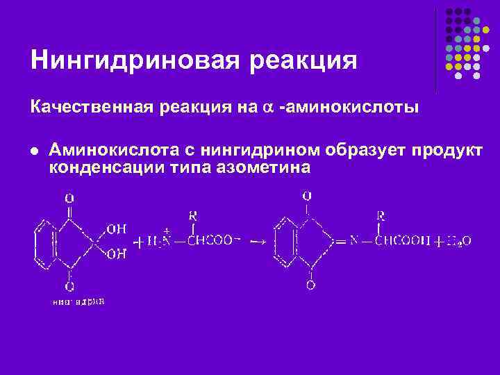 Нингидриновая реакция Качественная реакция на -аминокислоты l Аминокислота с нингидрином образует продукт конденсации типа