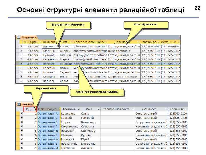 Основні структурні елементи реляційної таблиці Значення поля «Фамилия» Первинний ключ Запис про співробітника Куликова