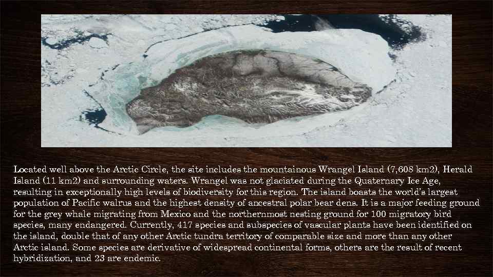 Located well above the Arctic Circle, the site includes the mountainous Wrangel Island (7,