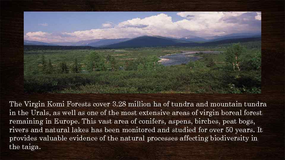 The Virgin Komi Forests cover 3. 28 million ha of tundra and mountain tundra