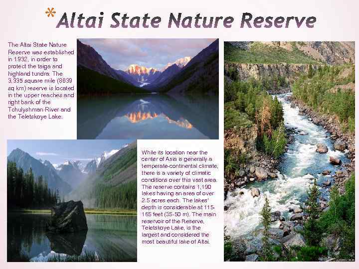 * The Altai State Nature Reserve was established in 1932, in order to protect