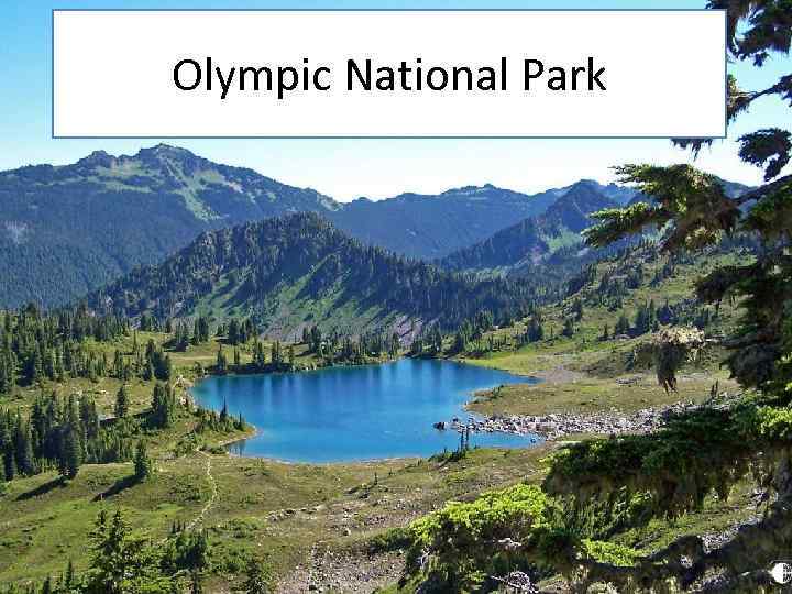 Olympic National Park 