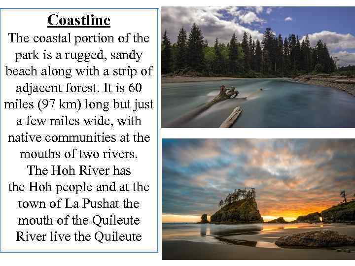 Coastline The coastal portion of the park is a rugged, sandy beach along with