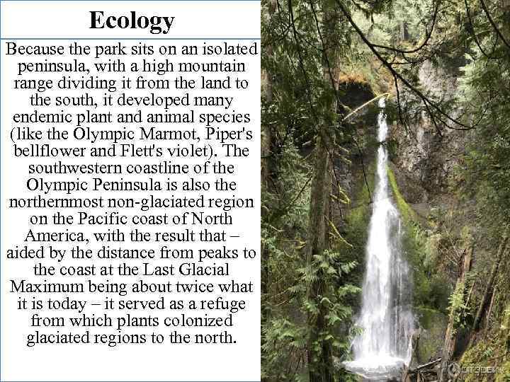 Ecology Because the park sits on an isolated peninsula, with a high mountain range