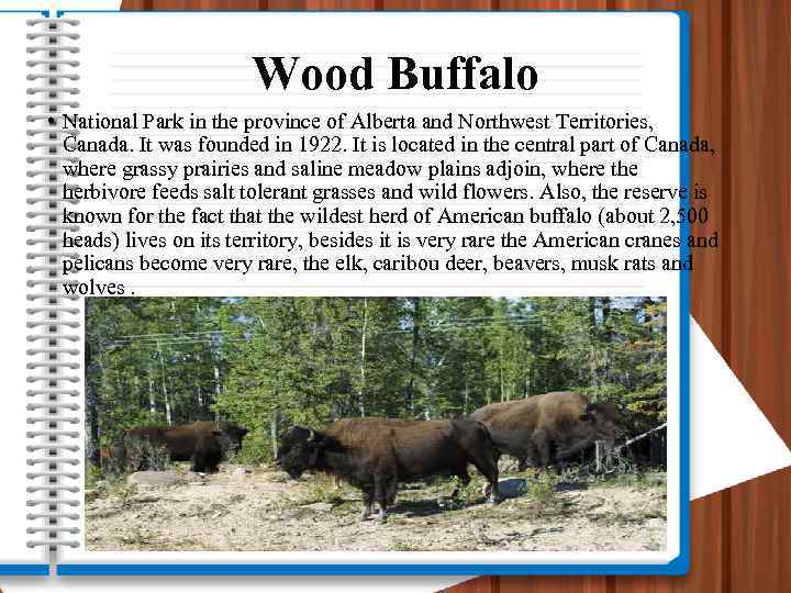 Wood Buffalo • National Park in the province of Alberta and Northwest Territories, Canada.