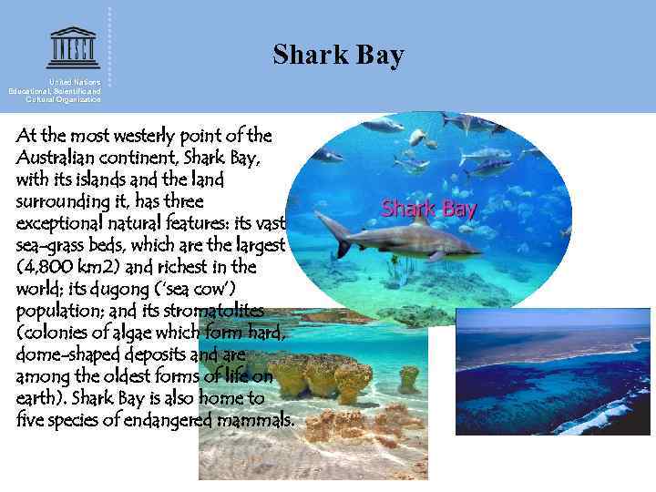 Shark Bay United Nations Educational, Scientific and Cultural Organization At the most westerly point