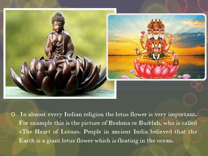  In almost every Indian religion the lotus flower is very important. For example