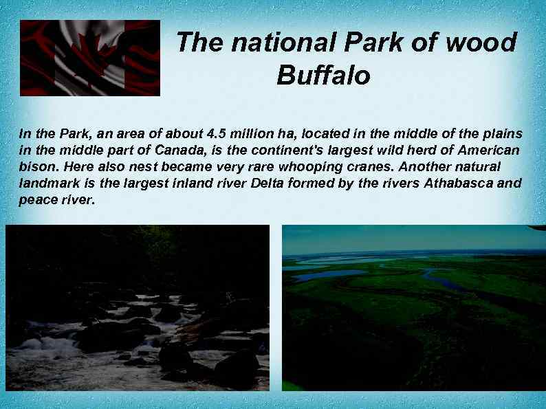 The national Park of wood Buffalo In the Park, an area of about 4.