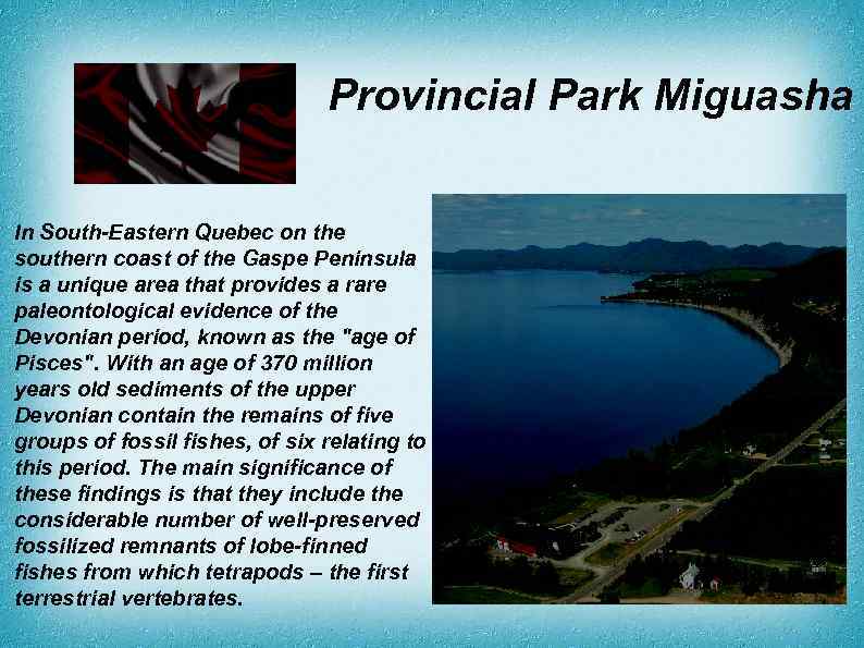 Provincial Park Miguasha In South-Eastern Quebec on the southern coast of the Gaspe Peninsula