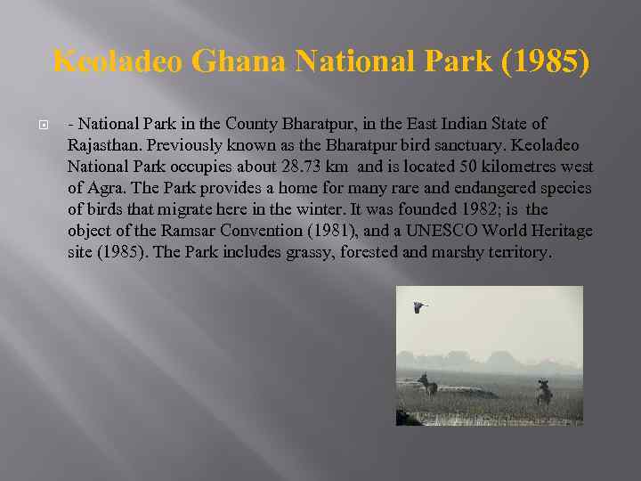 Keoladeo Ghana National Park (1985) - National Park in the County Bharatpur, in the