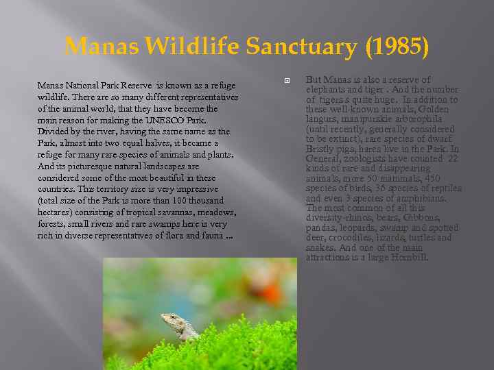 Manas Wildlife Sanctuary (1985) Manas National Park Reserve is known as a refuge wildlife.