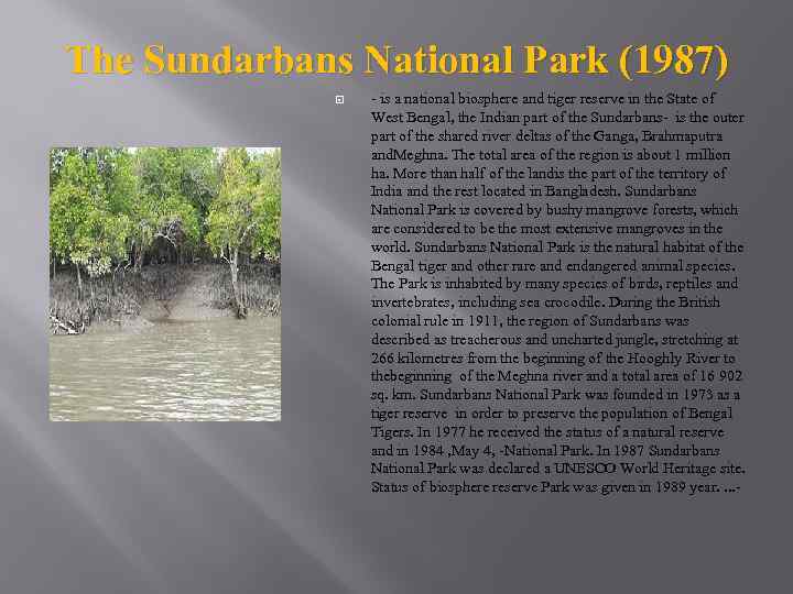 The Sundarbans National Park (1987) - is a national biosphere and tiger reserve in