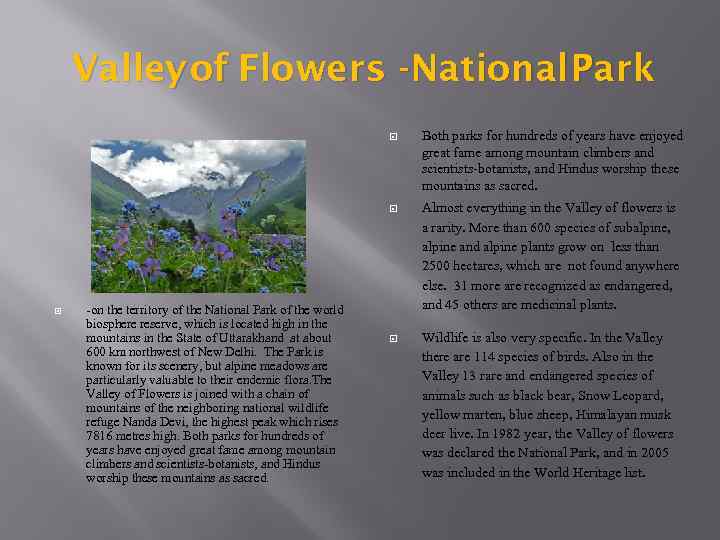 Valley of Flowers -National Park -on the territory of the National Park of the