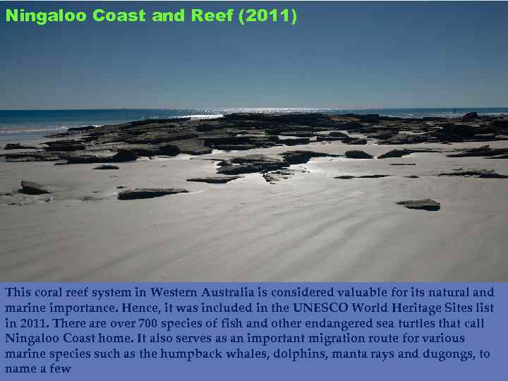 Ningaloo Coast and Reef (2011) This coral reef system in Western Australia is considered