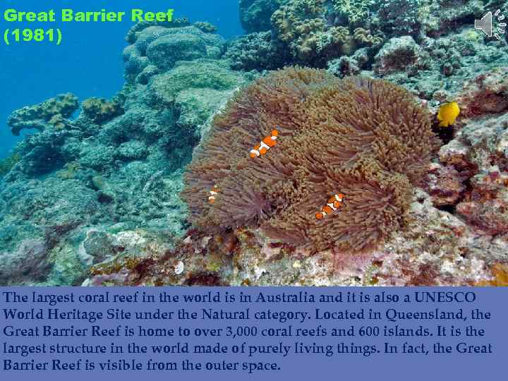 Great Barrier Reef (1981) The largest coral reef in the world is in Australia