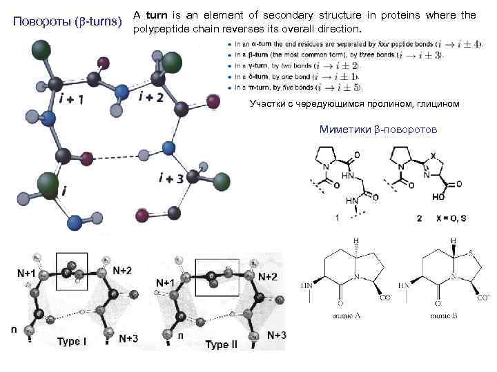 Повороты (b-turns) A turn is an element of secondary structure in proteins where the