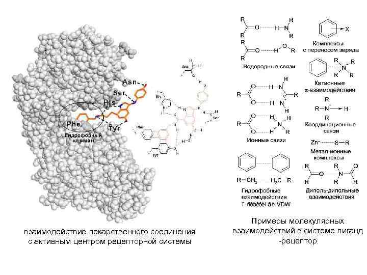 взаимодействие лекарственного соединения с активным центром рецепторной системы Примеры молекулярных взаимодействий в системе лиганд