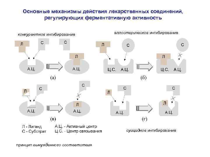 Схема конкурентного ингибирования