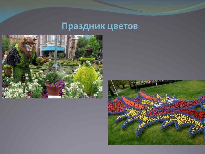 Праздник цветов 