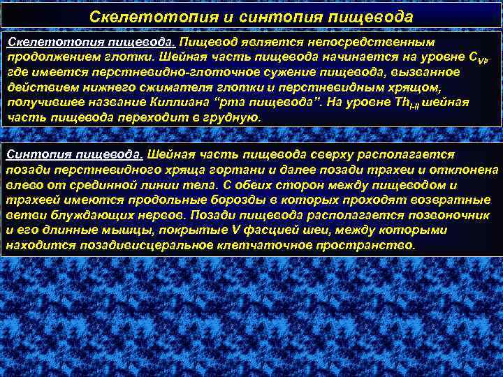 Скелетотопия и синтопия пищевода Скелетотопия пищевода. Пищевод является непосредственным продолжением глотки. Шейная часть пищевода