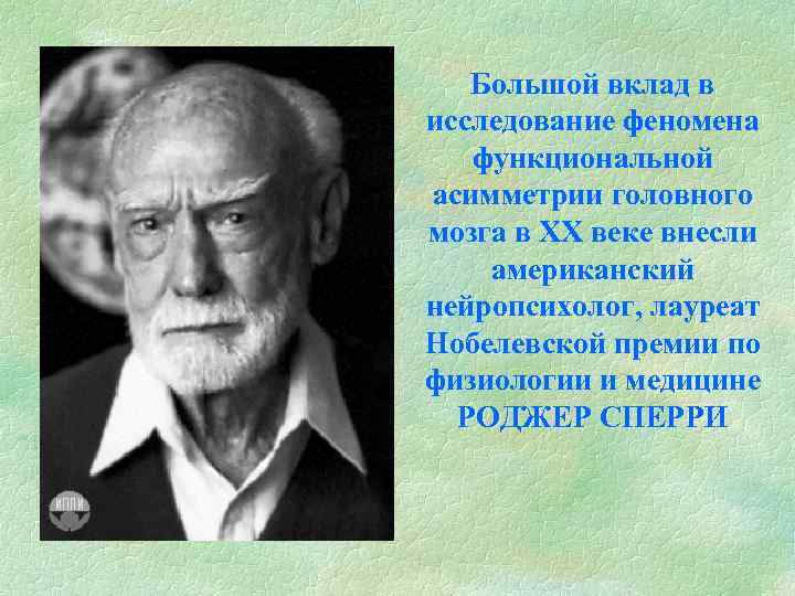 Большой вклад в исследование феномена функциональной асимметрии головного мозга в ХХ веке внесли американский