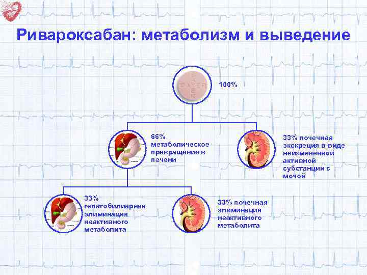 Ривароксабан: метаболизм и выведение 100% 66% метаболическое превращение в печени 33% гепатобилиарная элиминация неактивного