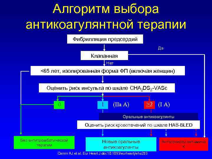 Алгоритм выбора антикоагулянтной терапии Фибрилляция предсердий Да Клапанная Нет <65 лет, изолированная форма ФП