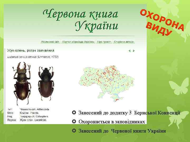  Занесений до додатку 3 Бернської Конвенції Охороняється в заповідниках Занесений до Червоної книги