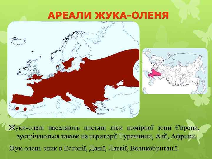 Жуки-олені населяють листяні ліси помірної зони Європи, зустрічаються також на території Туреччини, Азії, Африки.