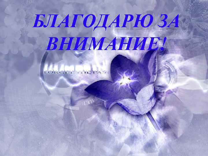 БЛАГОДАРЮ ЗА ВНИМАНИЕ! 