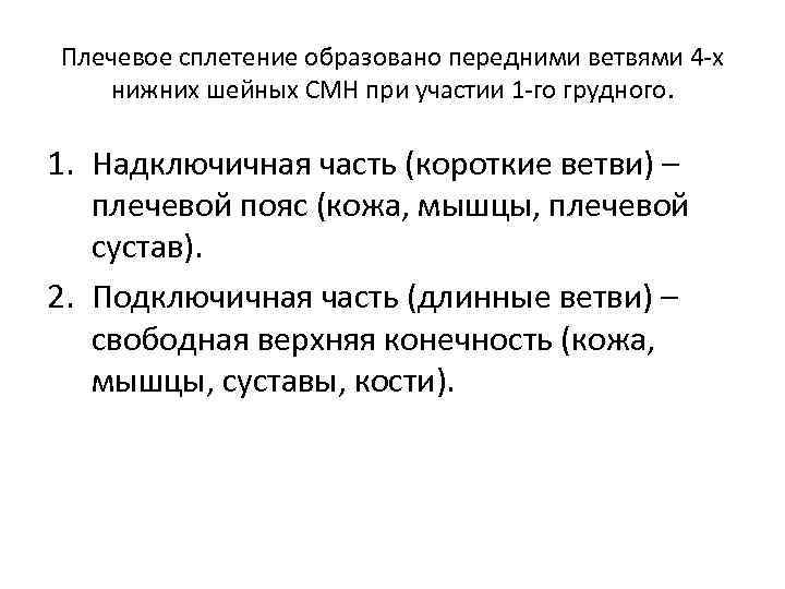 Плечевое сплетение образовано передними ветвями 4 -х нижних шейных СМН при участии 1 -го