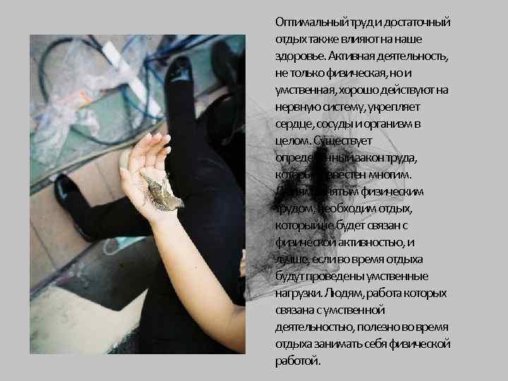 Оптимальный труд и достаточный отдых также влияют на наше здоровье. Активная деятельность, не только