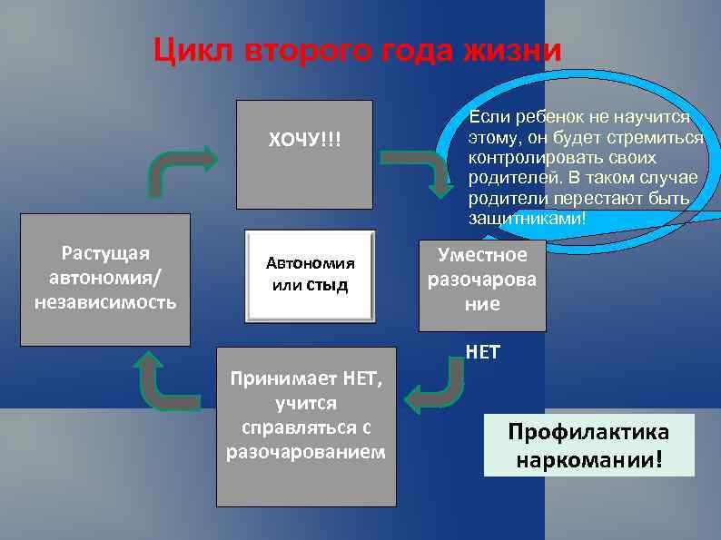 Цикл второго года жизни ХОЧУ!!! Растущая автономия/ независимость Автономия или стыд Принимает НЕТ, учится