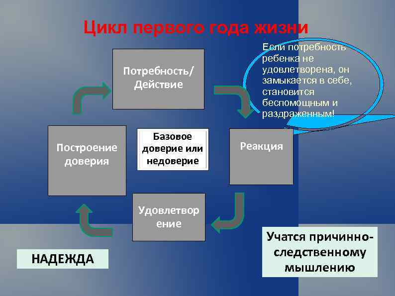 Цикл первого года жизни Потребность/ Действие Построение доверия Базовое доверие или недоверие Удовлетвор ение