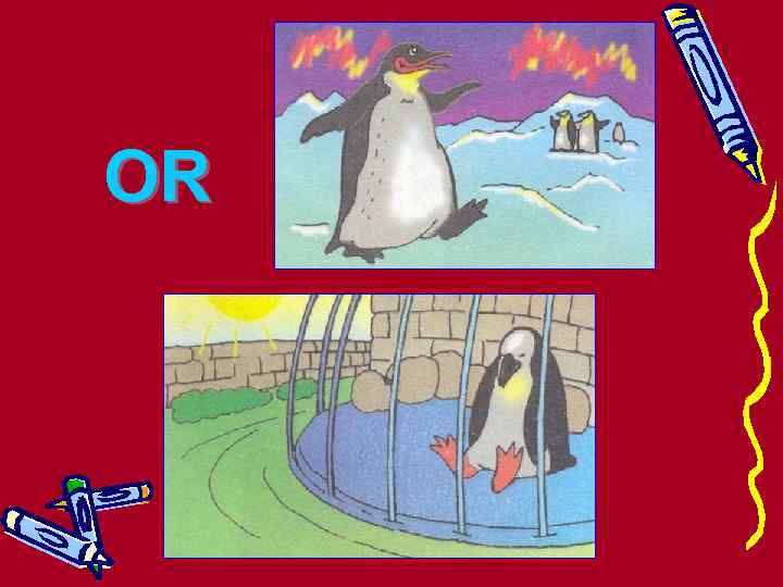 OR 