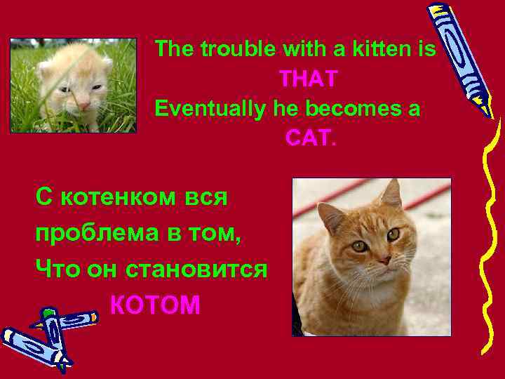 The trouble with a kitten is THAT Eventually he becomes a CAT. С котенком