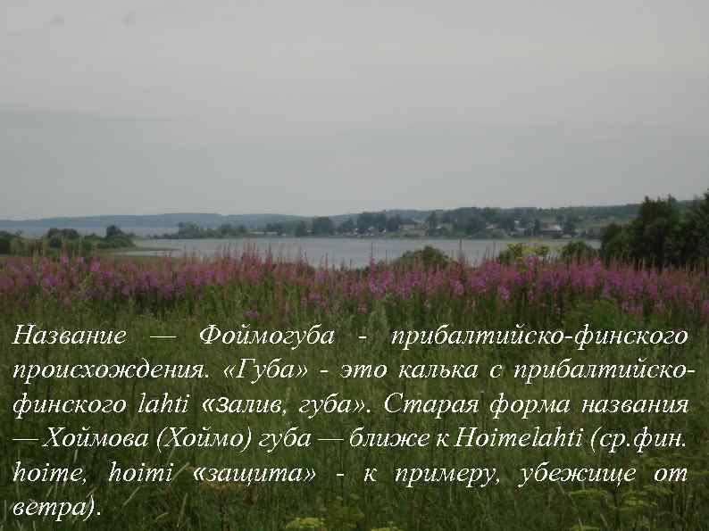 Название — Фоймогуба - прибалтийско-финского происхождения. «Губа» - это калька с прибалтийскофинского lahti «залив,