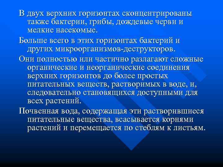 В двух верхних горизонтах сконцентрированы также бактерии, грибы, дождевые черви и мелкие насекомые. Больше