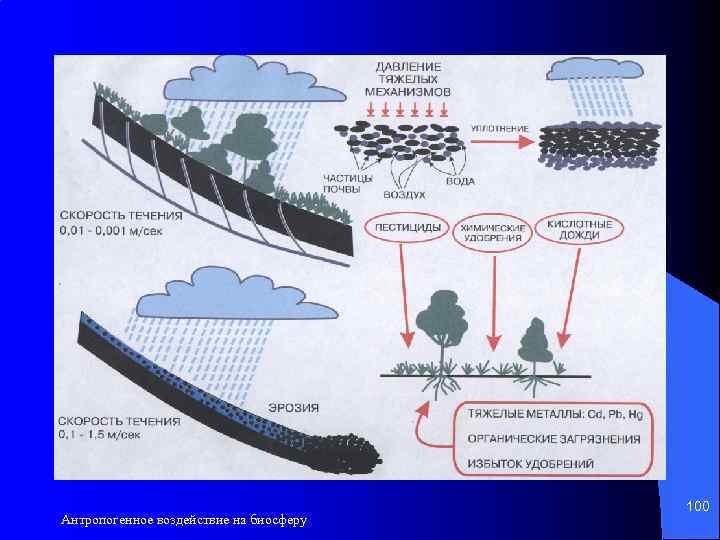 Антропогенное воздействие на биосферу 100 