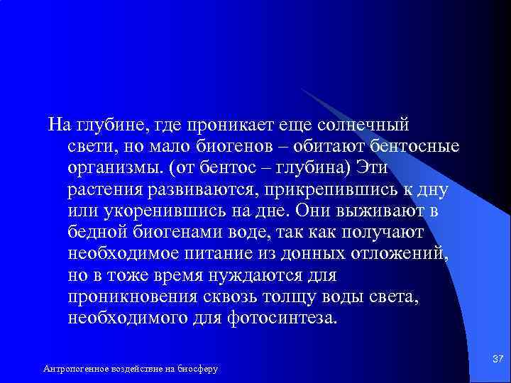 На глубине, где проникает еще солнечный свети, но мало биогенов – обитают бентосные организмы.