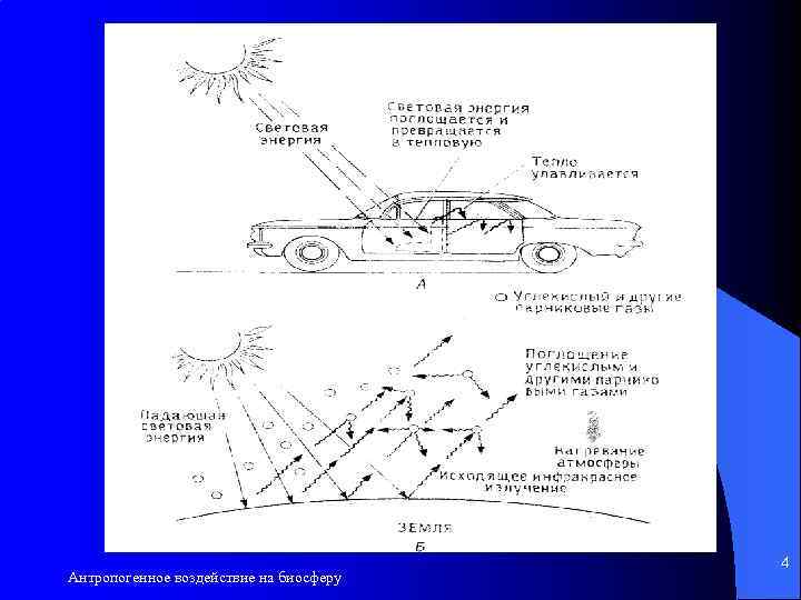 Антропогенное воздействие на биосферу 4 