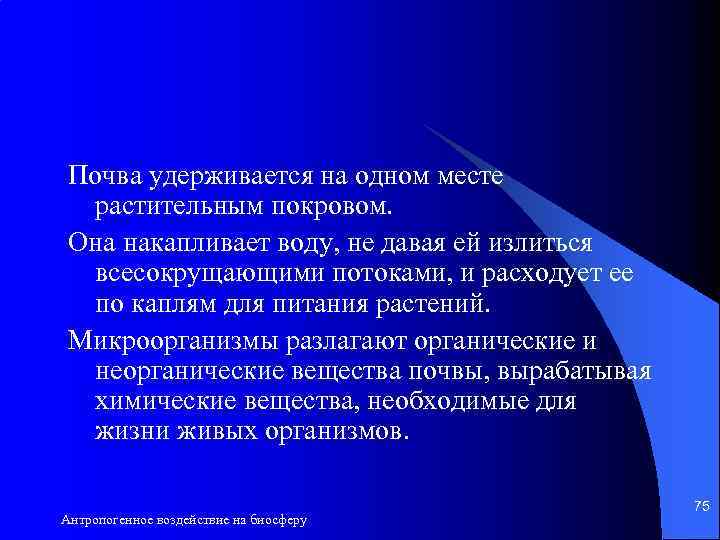 Почва удерживается на одном месте растительным покровом. Она накапливает воду, не давая ей излиться