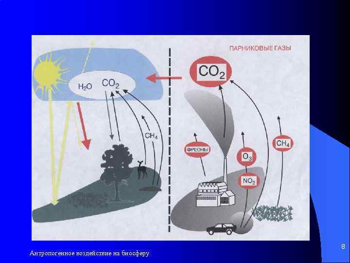 Антропогенное воздействие на биосферу 8 