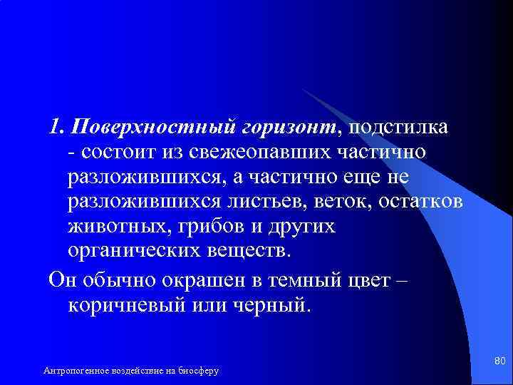 1. Поверхностный горизонт, подстилка - состоит из свежеопавших частично разложившихся, а частично еще не