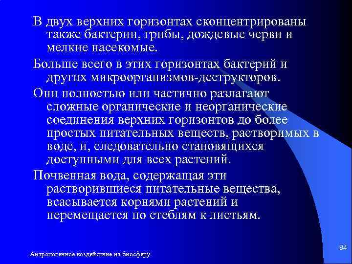 В двух верхних горизонтах сконцентрированы также бактерии, грибы, дождевые черви и мелкие насекомые. Больше