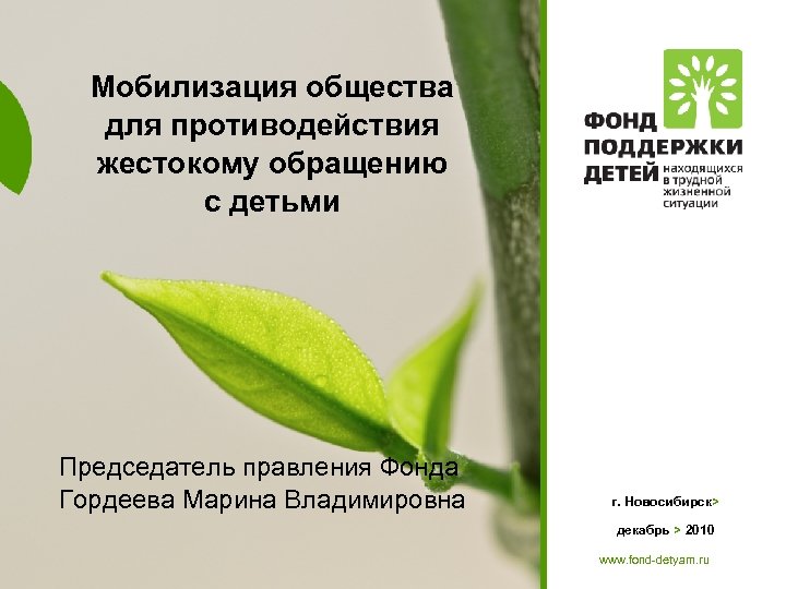 Мобилизация общества для противодействия жестокому обращению с детьми Председатель правления Фонда Гордеева Марина Владимировна