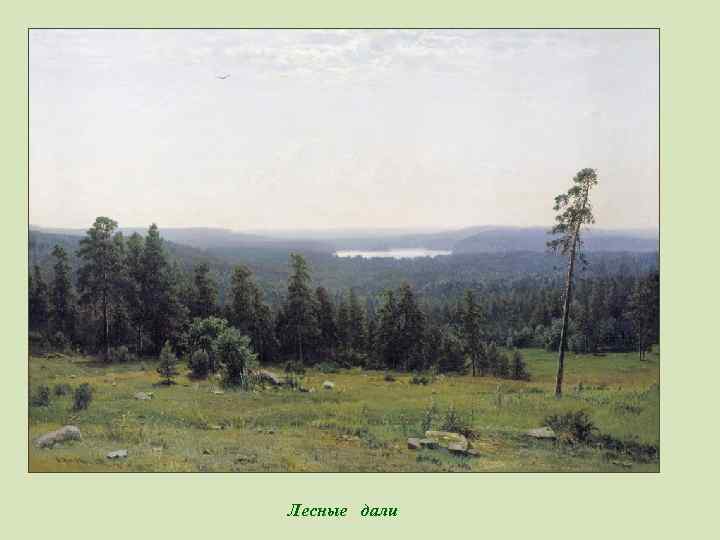 Лесные дали 
