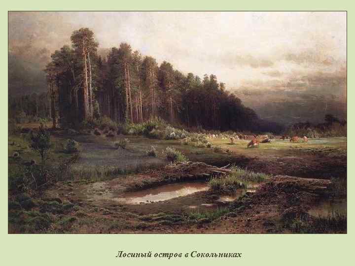 Лосиный остров в Сокольниках 