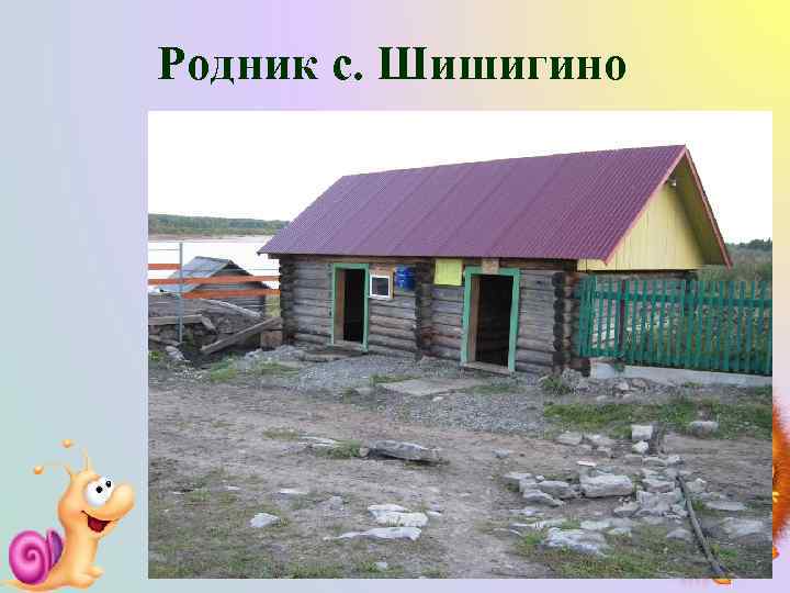 Родник с. Шишигино 