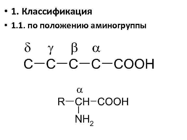  • 1. Классификация • 1. 1. по положению аминогруппы 